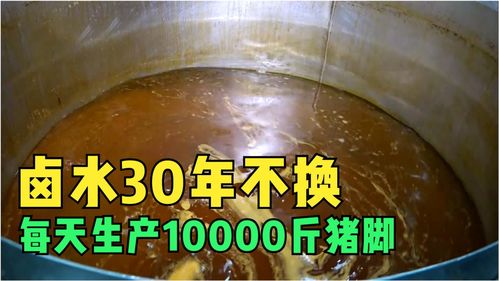 一鍋湯料三十年不換 探訪韓國特色食品加工廠，揭秘日產5噸豬腳的秘辛